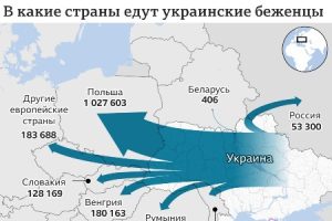 В какие страны ЕС больше всего едут украинские беженцы