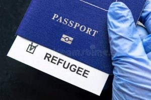 Могут ли украинцы получить повторное убежище в Германии